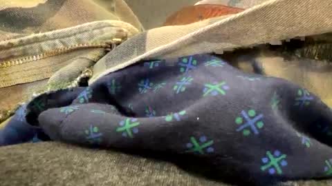 jbigblue online show from September 28, 3:28 pm