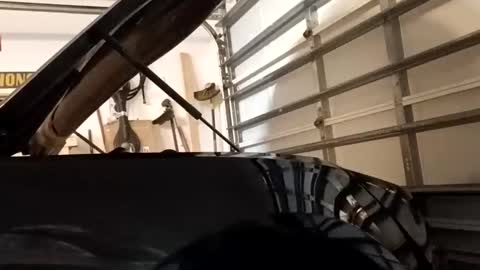 Snapshot of jcmack4life chatting on September 20, 7:31 am jcmack4life online show from September 20, 7:31 am