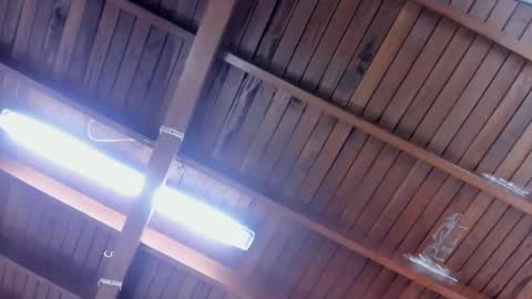 jeicob gagnon online show from January 28, 4:30 pm