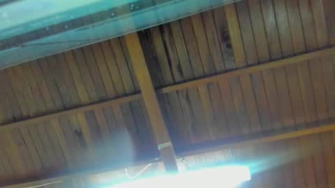 jeicob gagnon online show from September 15, 2:00 am