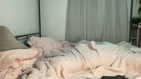 Mistress Jenni online show from December 11, 6:47 am