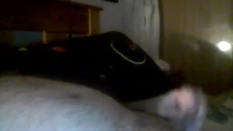 Snapshot of jerkmate6666 chatting on December 21, 6:19 am jerkmate6666 online show from December 21, 6:19 am