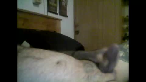 Snapshot of jerkmate6666 chatting on September 16, 11:50 pm jerkmate6666 online show from September 16, 11:50 pm