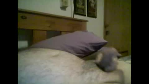 Snapshot of jerkmate6666 chatting on October 14, 2:34 am jerkmate6666 online show from October 14, 2:34 am