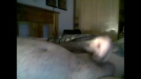 Snapshot of jerkmate6666 chatting on November 22, 9:25 pm jerkmate6666 online show from November 22, 9:25 pm