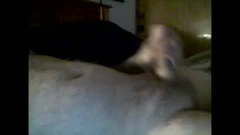 Snapshot of jerkmate6666 chatting on December 4, 10:29 pm jerkmate6666 online show from December 4, 10:29 pm