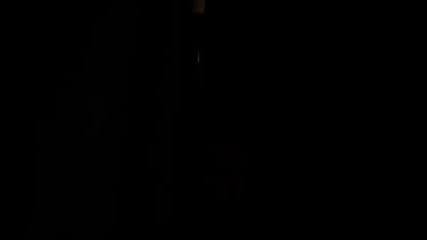 Snapshot of jestersquid89 chatting on September 13, 10:31 pm jestersquid89 online show from September 13, 10:31 pm