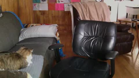 Snapshot of jettadude5 chatting on January 25, 6:02 pm jettadude5 online show from January 25, 6:02 pm