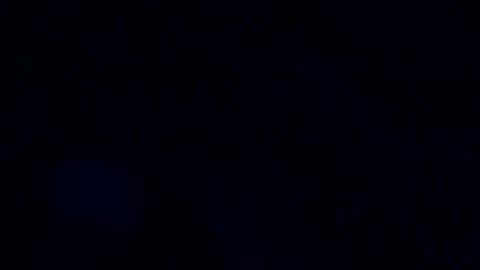 jiminowell online show from November 18, 1:04 pm