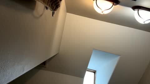 Jimmy online show from February 3, 5:14 pm