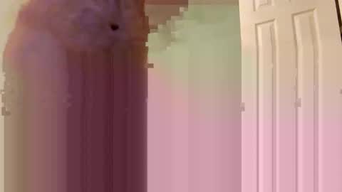 Jmtz4420 online show from January 2, 9:00 am