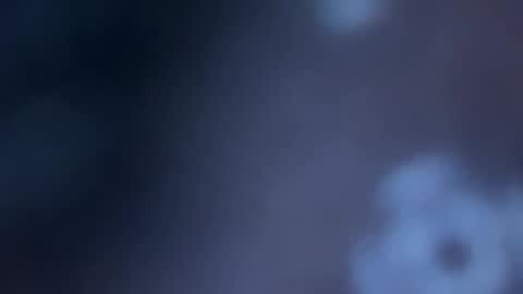 Snapshot of johnjow10 chatting on November 14, 11:02 pm JOHN online show from November 14, 11:02 pm