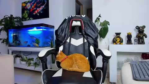 JOHNNY online show from September 19, 12:23 am