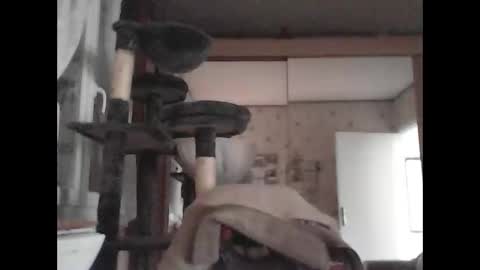 jojo60000529566 online show from March 4, 3:15 pm