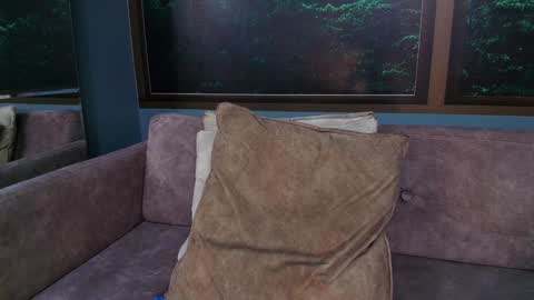 Jonas online show from February 4, 7:22 pm