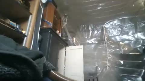 sissy josphine online show from November 28, 5:32 am