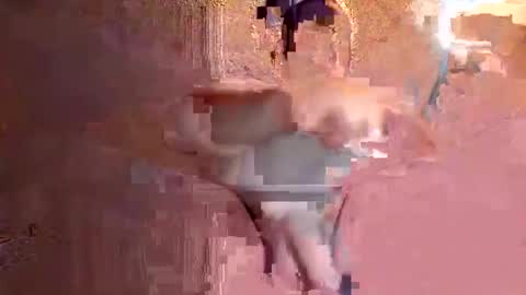 juan575390 online show from December 17, 1:07 am