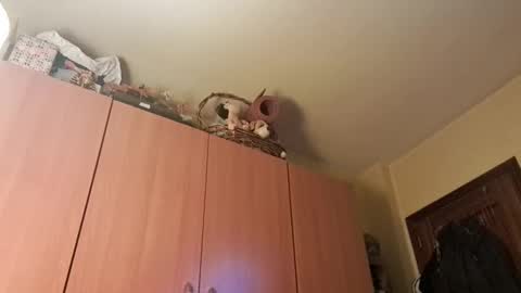 juanka85564456 online show from January 20, 9:43 pm