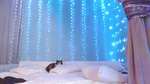 Snapshot of julia_renard chatting on November 29, 7:22 am Julia online show from November 29, 7:22 am