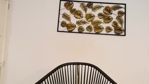 Juli online show from October 10, 8:08 pm