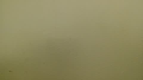 Just marlon online show from January 17, 2:39 am