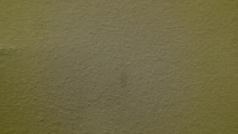 Just marlon online show from March 3, 2:15 am