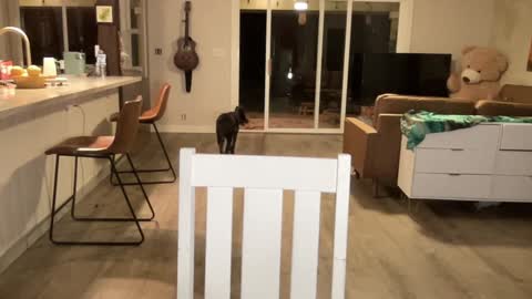 Kailee Smile online show from September 27, 4:39 am