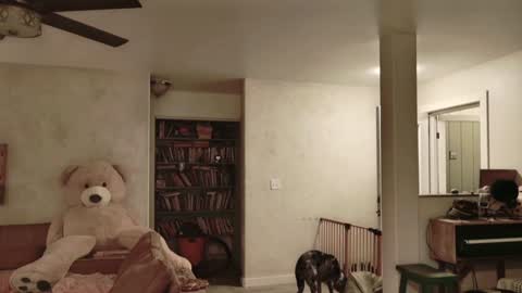 Kailee Smile online show from November 27, 4:58 am