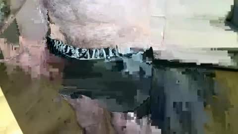 Snapshot of kalem48 chatting on December 22, 8:27 am MusicMen49 online show from December 22, 8:27 am