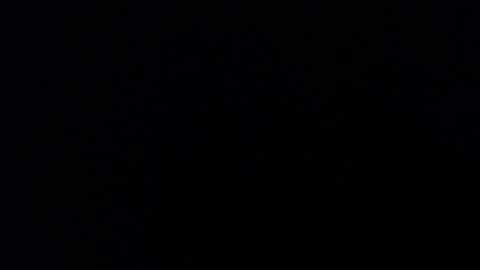 ARIANNA  online show from January 31, 8:11 am