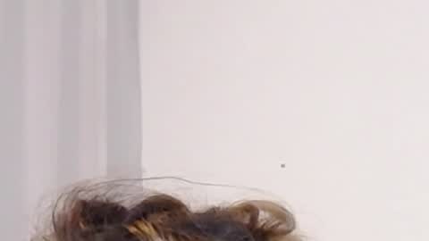 Help me with rate thanks  online show from December 3, 5:09 am