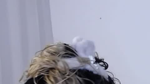 Help me with rate thanks  online show from December 11, 3:35 am