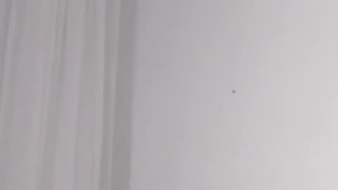 Help me with rate thanks  online show from February 16, 5:15 am