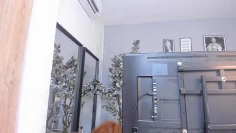 Katerine online show from January 18, 10:28 am