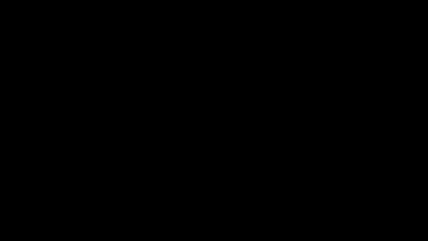 trannyblacklatinhot online show from January 10, 9:31 pm