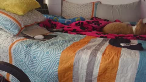  Khawit  online show from September 14, 12:15 pm