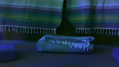 Kim online show from October 13, 12:49 pm