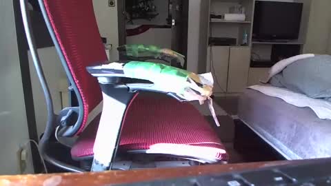 kinchan069 online show from December 26, 3:59 am