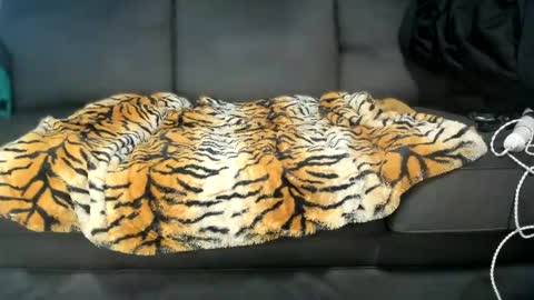 Kinky online show from January 16, 6:37 pm