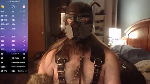 kinkywolf87 online show from December 5, 7:05 am