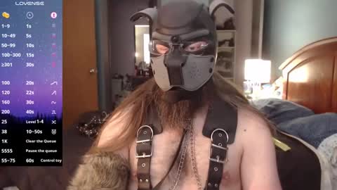 kinkywolf87 online show from December 21, 6:23 pm