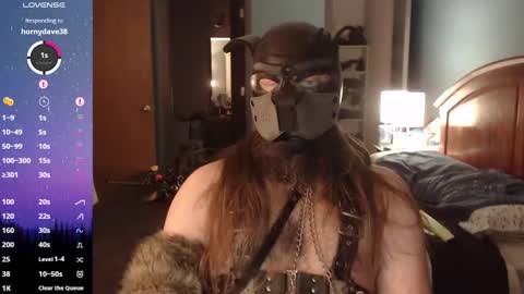 kinkywolf87 online show from December 31, 11:17 pm