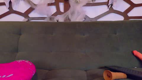 Snapshot of kloe_bella chatting on October 27, 3:38 pm kloe_bella online show from October 27, 3:38 pm