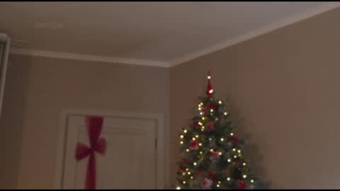 Snapshot of kottyaa_ch chatting on January 30, 10:19 pm Kottyaa cb FOLLOWING online show from January 30, 10:19 pm