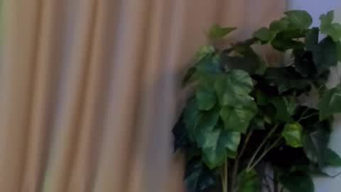 Snapshot of kristinedean chatting on December 7, 9:50 am Kristi online show from December 7, 9:50 am