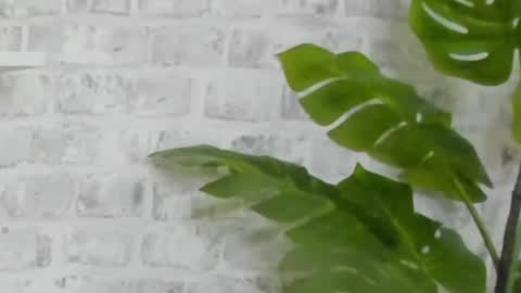 Snapshot of kristinesmith chatting on December 15, 9:45 am Kristi online show from December 15, 9:45 am