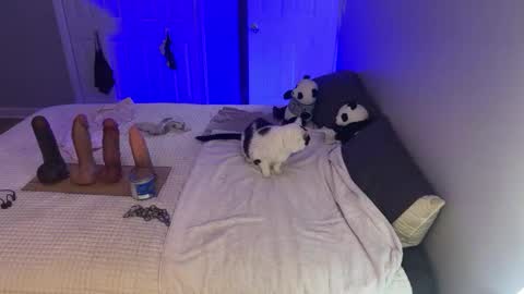 Kristin Snow online show from September 17, 4:47 am