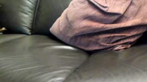 tomtom online show from March 8, 7:53 pm