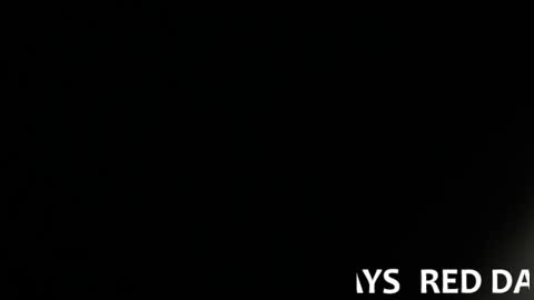  Lari online show from January 30, 8:43 am