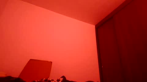 DEXTER online show from February 26, 12:05 am